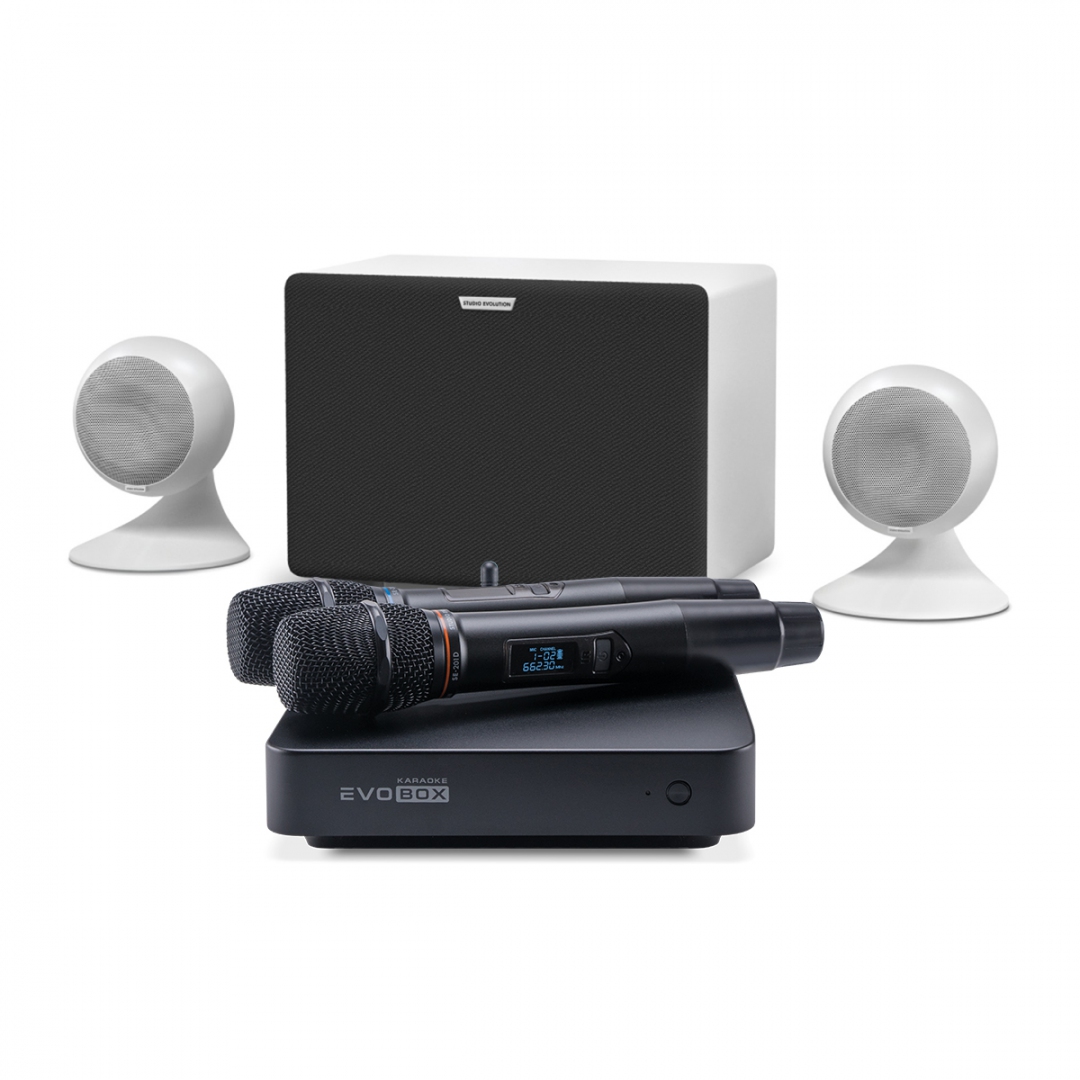 караоке-комплект EVOBOX Classic + EvoSound Sphere 2.1 в Киржаче