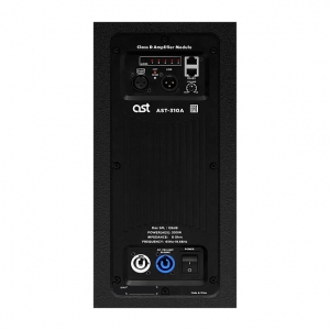 Активная акустическая система AST-310A в Киржаче
